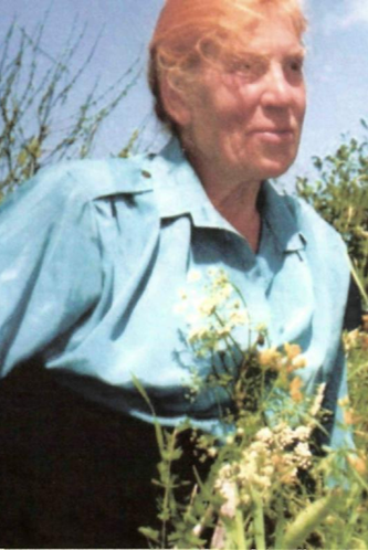 �������� ��������� ������������